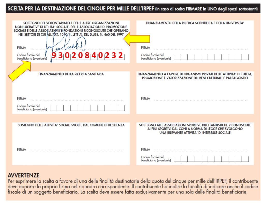 modello 5x100